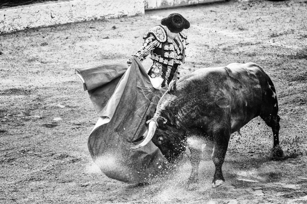corrida dax feria