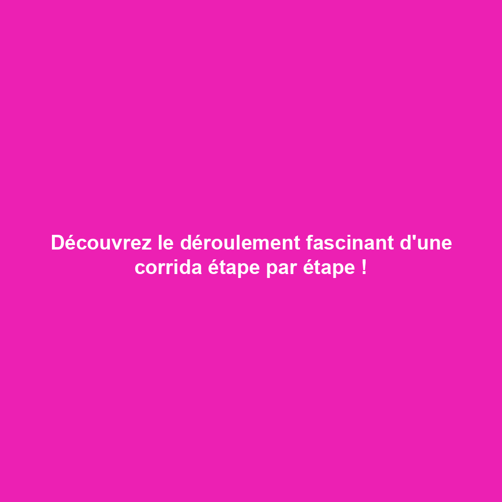 Découvrez le déroulement fascinant d'une corrida étape par étape !