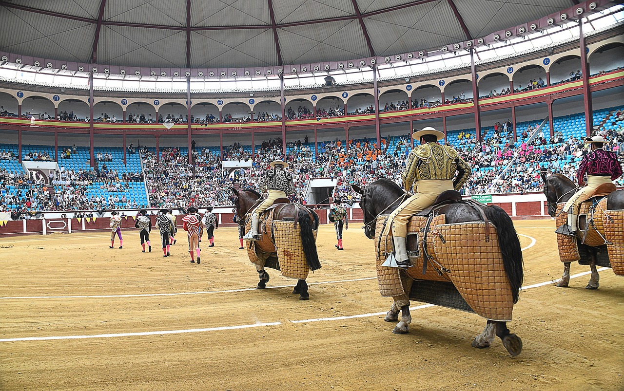 corrida bulls, paseillo, spanish