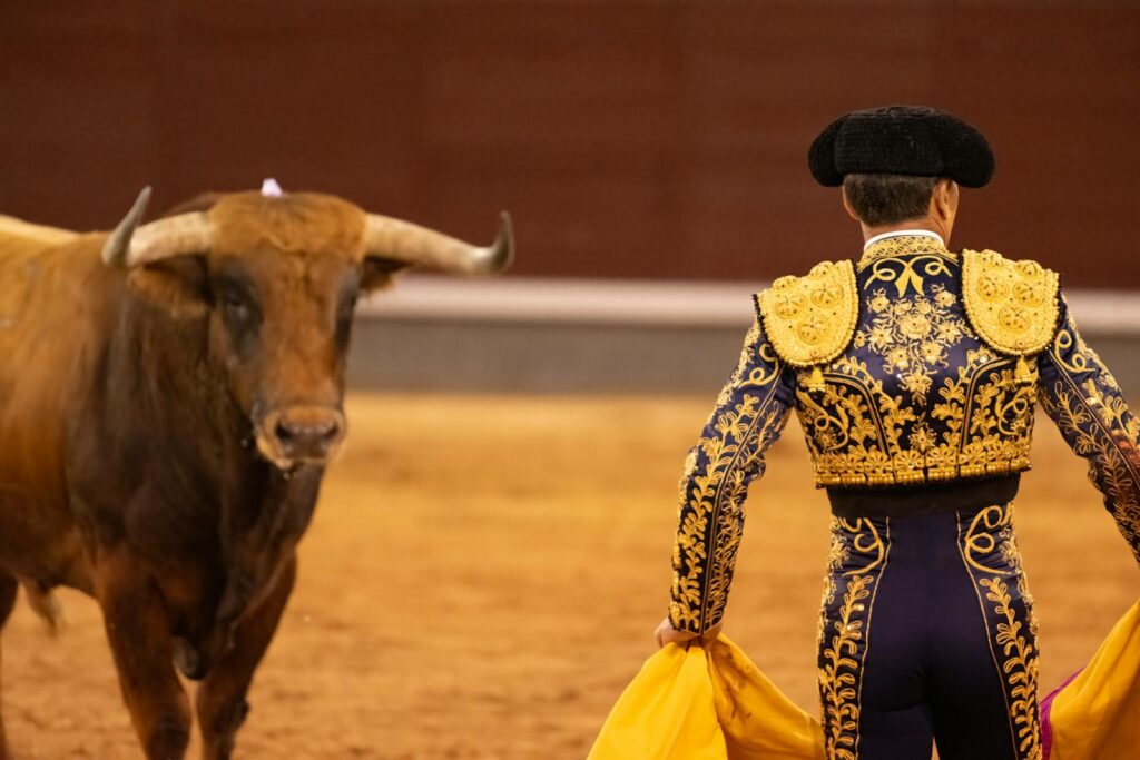 A torero faces a bull at Plaza de Toros in Madrid, showcasing traditional Spanish bullfighting culture.
